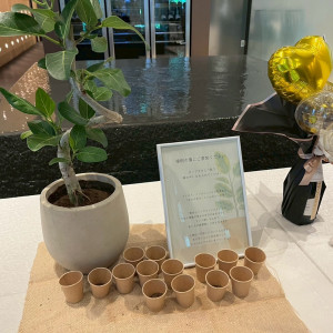 記念植樹|747975さんの響 風庭 赤坂の写真(2436034)