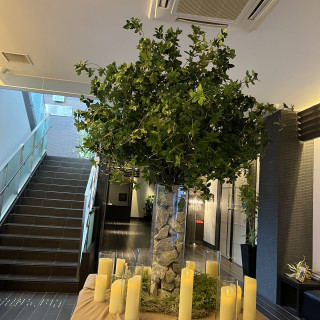 この木に写真やおかしをつるせる