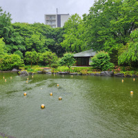 奥の建物と池のライトアップ日が暮れても素敵な雰囲気