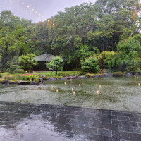 披露宴会場から見たの外の風景