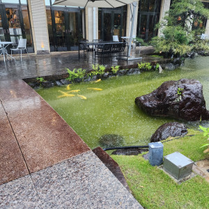水辺には和を感じれる鯉|748021さんのザ・ガーデンオリエンタル・大阪の写真(2444537)