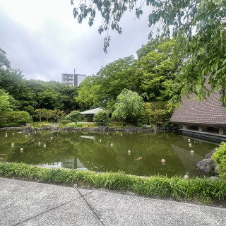 和装も合うお庭でした。