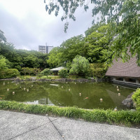 和装も合うお庭でした。