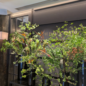 とても綺麗でした。少し人通り多いかもです。|748334さんのThe Place of Tokyo（ザ プレイス オブ トウキョウ）の写真(2518650)