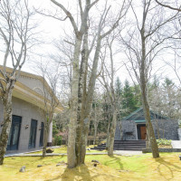 4月でも苔で緑が映えている中庭