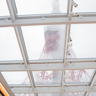 雨の日の様子です