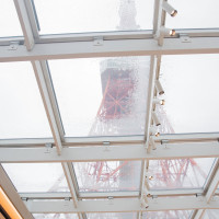 雨の日の様子です