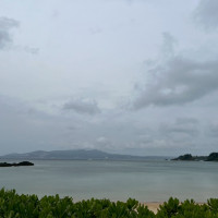 海