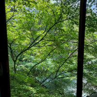 ゲスト待合室から見える風景
