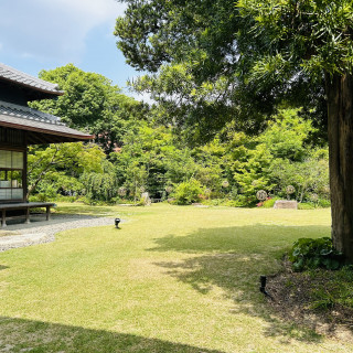 庭からの景色がとても素敵でした