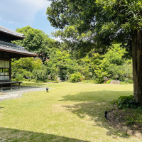庭からの景色がとても素敵でした