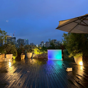 夜のガーデン|748764さんのCentral Terrace TOKYO（セントラル テラス トーキョー）の写真(2440928)