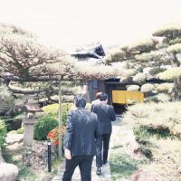 庭