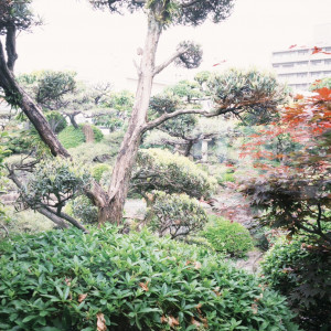 庭|748792さんの葵庭園の写真(2441296)
