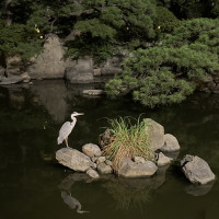 夜もいい雰囲気