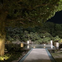 夜もいい雰囲気