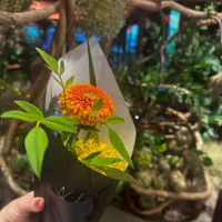会場の装花は特典で持ち帰り可能