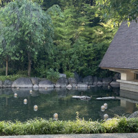 木のチャペルの近くの池