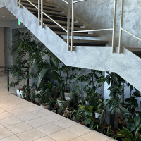 披露宴会場にある観葉植物