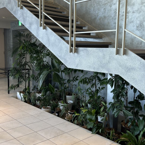 披露宴会場にある観葉植物|748831さんのグランドプリンスホテル大阪ベイの写真(2474352)