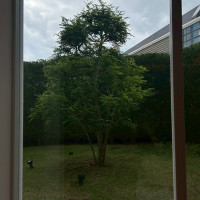 披露宴会場の窓から