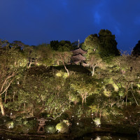 夜のライトアップされた庭も素敵
