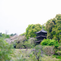 三重塔がみえるお庭