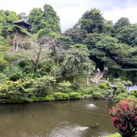 奥に見える三重塔が立派です