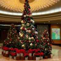 ロビーにはクリスマスの時期には綺麗なツリーもあります