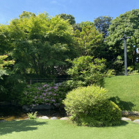 外での写真もおすすめとのこと。