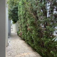 チャペルへ行く道
