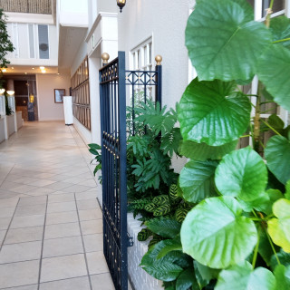 チャペルの横に木々がおかれている。