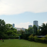 披露宴会場からみたガーデン