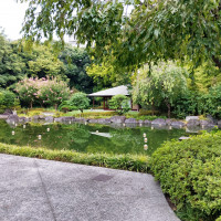 池のあるガーデンの様子
