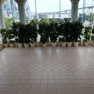 室内でも緑が感じられるように工夫がされている。|748965さんの18(アンウィット)Produced by Casa d' Angelaの写真(2535671)