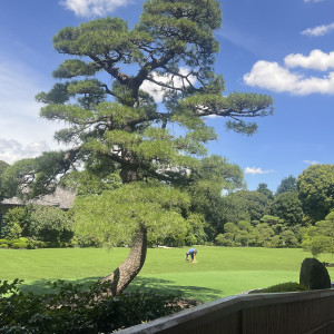 お庭|749032さんの明治神宮・明治記念館の写真(2488787)
