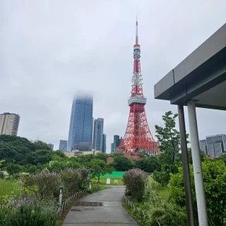 やや曇っていましたが、神殿横の庭から東京タワーが見えました。
