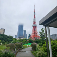 やや曇っていましたが、神殿横の庭から東京タワーが見えました。