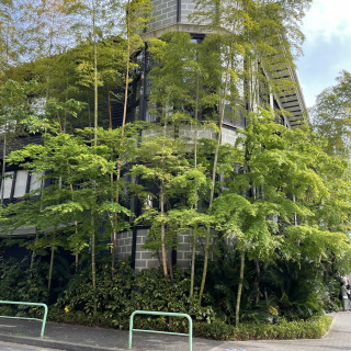 挙式会場、披露宴会場の外側