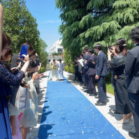 ブルーの絨毯を歩いてフラワーシャワーができます