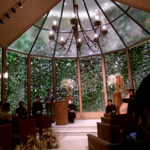 緑溢れる森のチャペル|749734さんのアーヴェリール迎賓館（名古屋）/テイクアンドギヴ・ニーズウェディングの写真(2563258)