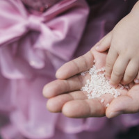 ライスシャワー