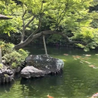 日本庭園