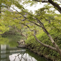 日本庭園