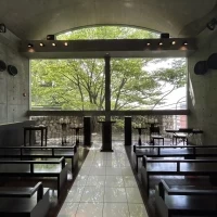 チャペルから見えるケヤキがとても魅力的です。