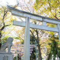 大國魂神社入口の鳥居