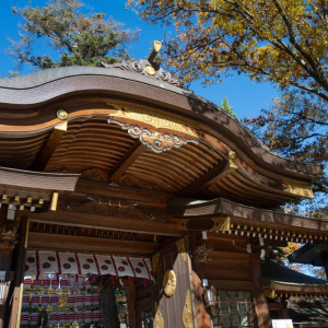 神社の外観|749824さんの大國魂神社 結婚式場の写真(2449320)