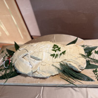 鯛の塩釜焼き