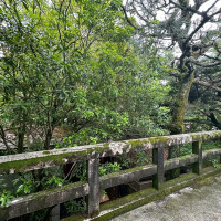 お庭