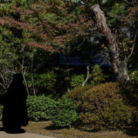 庭園